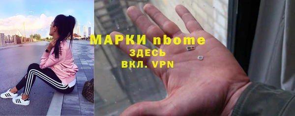 шишки Аркадак