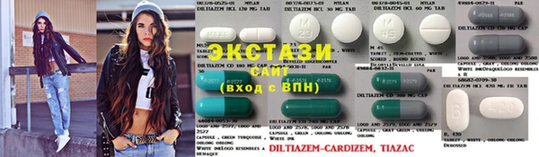 шишки Аркадак