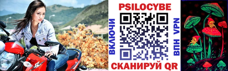как найти закладки Усть-Джегута Псилоцибиновые грибы Cubensis